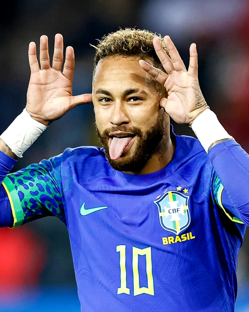 维塔尔等球 维塔尔等球