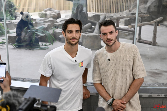 队的历史交 队的历史交